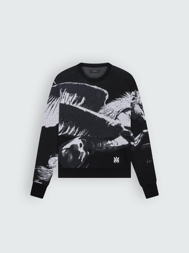 Knitwear Amiri Pegasus Crew   | YWB-9970911