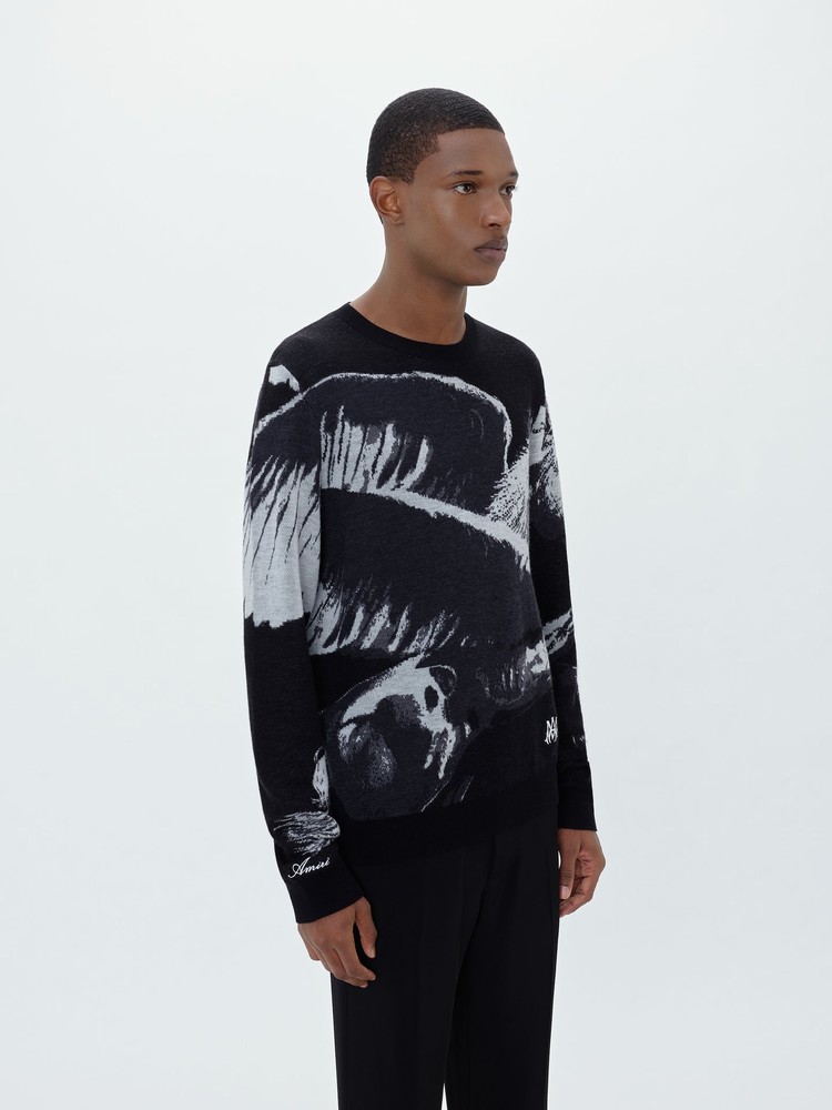 Knitwear Amiri Pegasus Crew   | YWB-9970911