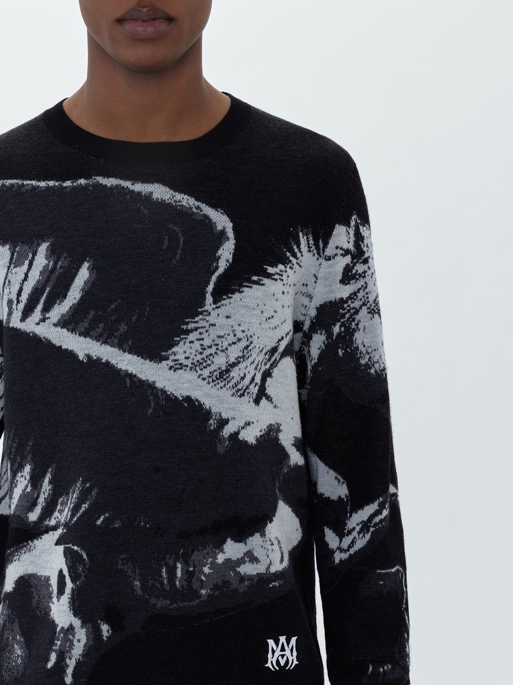 Knitwear Amiri Pegasus Crew   | YWB-9970911