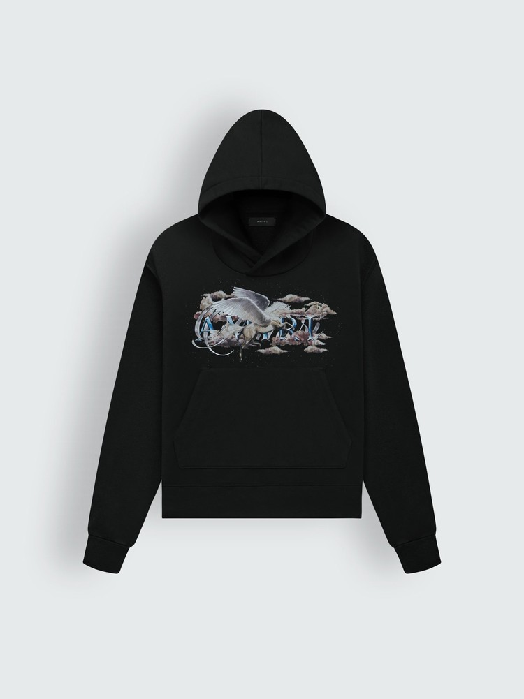 Sweat à Capuche Amiri Pegasus Script   | VHA-1027268