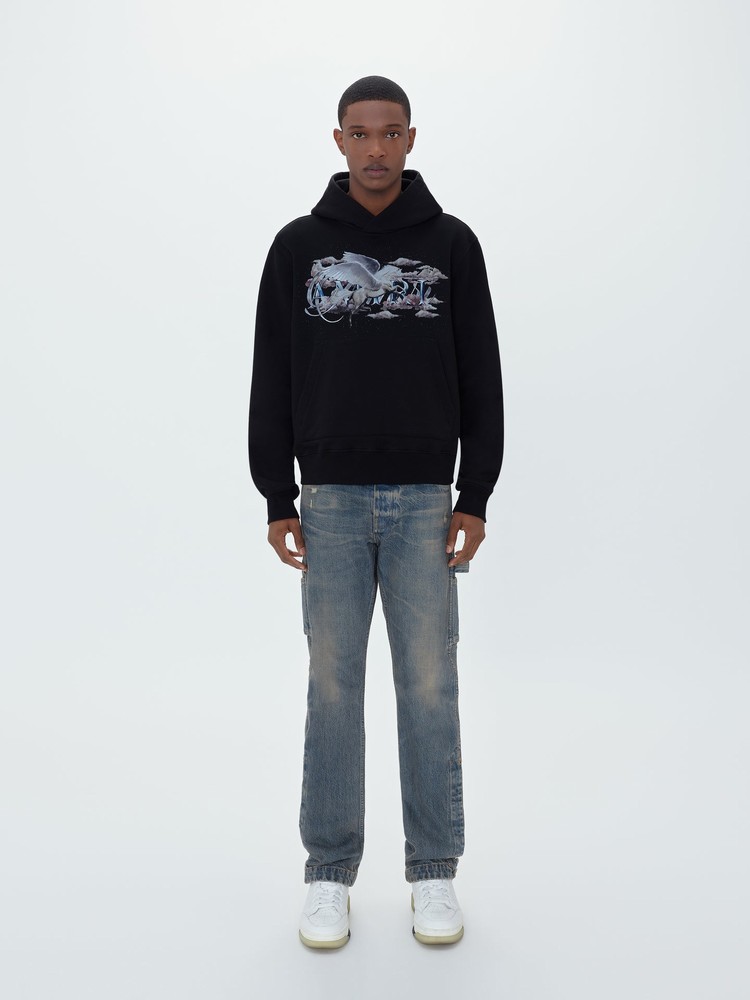 Sweat à Capuche Amiri Pegasus Script   | VHA-1027268