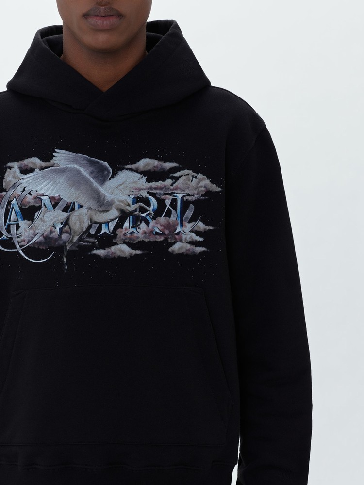 Sweat à Capuche Amiri Pegasus Script   | VHA-1027268