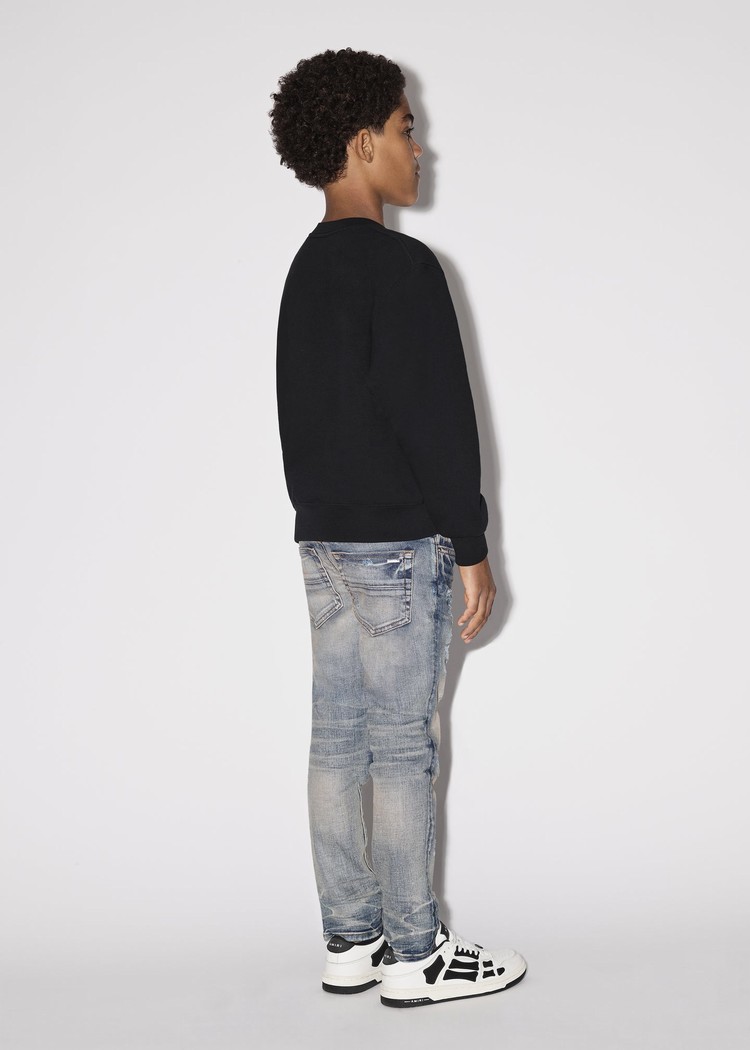 Sweats Amiri Crewneck   | QJA-4902504