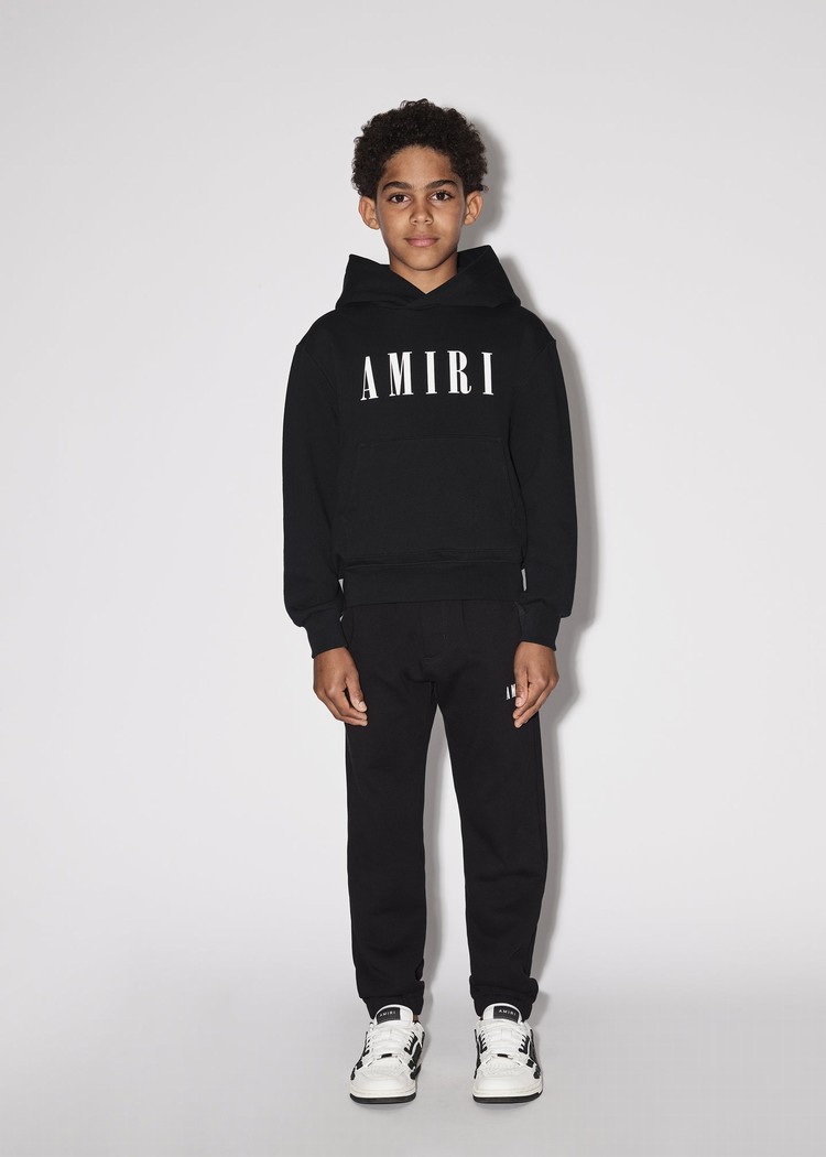 Sweat à Capuche Amiri Ma   | CHY-3366299