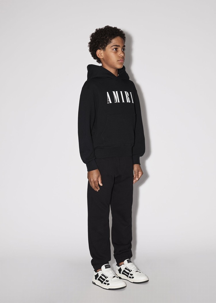 Sweat à Capuche Amiri Ma   | CHY-3366299